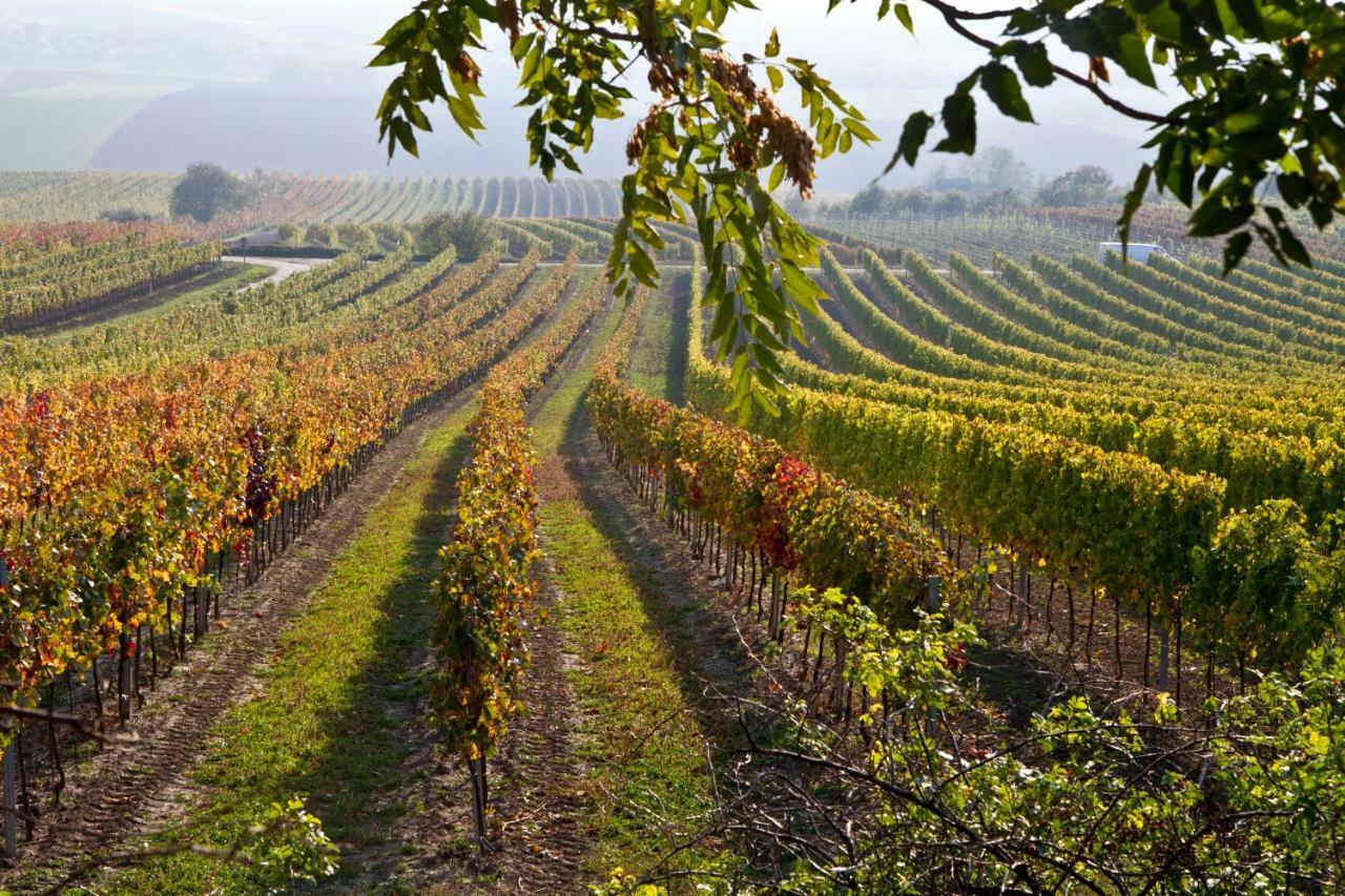 Weingut Breitenfelder Retz Exterior foto