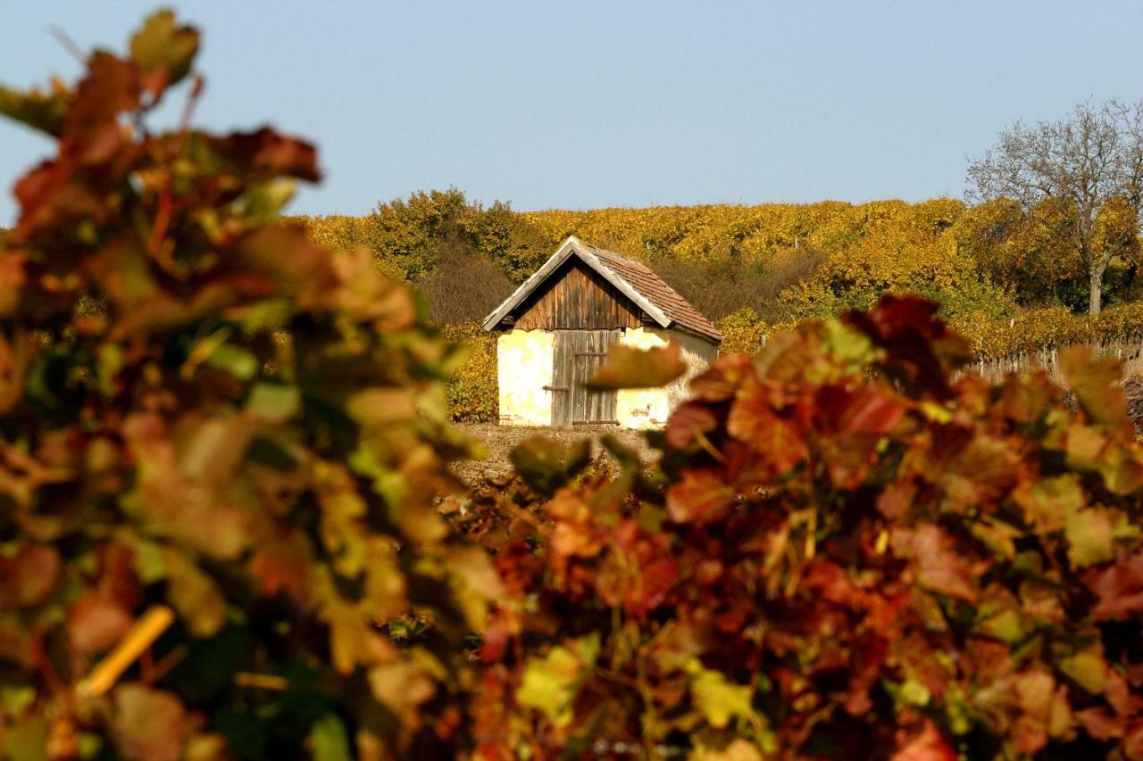 Weingut Breitenfelder Retz Exterior foto